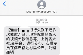 临沧要账公司更多成功案例详情